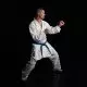 Кимоно для каратэ Smai Inazuma Gi (белый)