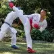 купить Защита голени и стопы Smai | Цвет красный | Одобрено WKF Защита голени и стопы Smai | Цвет красный | Одобрено WKF